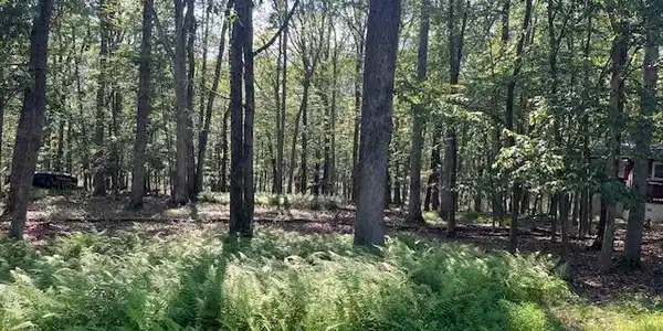 Image 2 Image 2