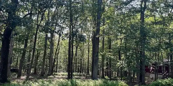 Image 3 Image 3