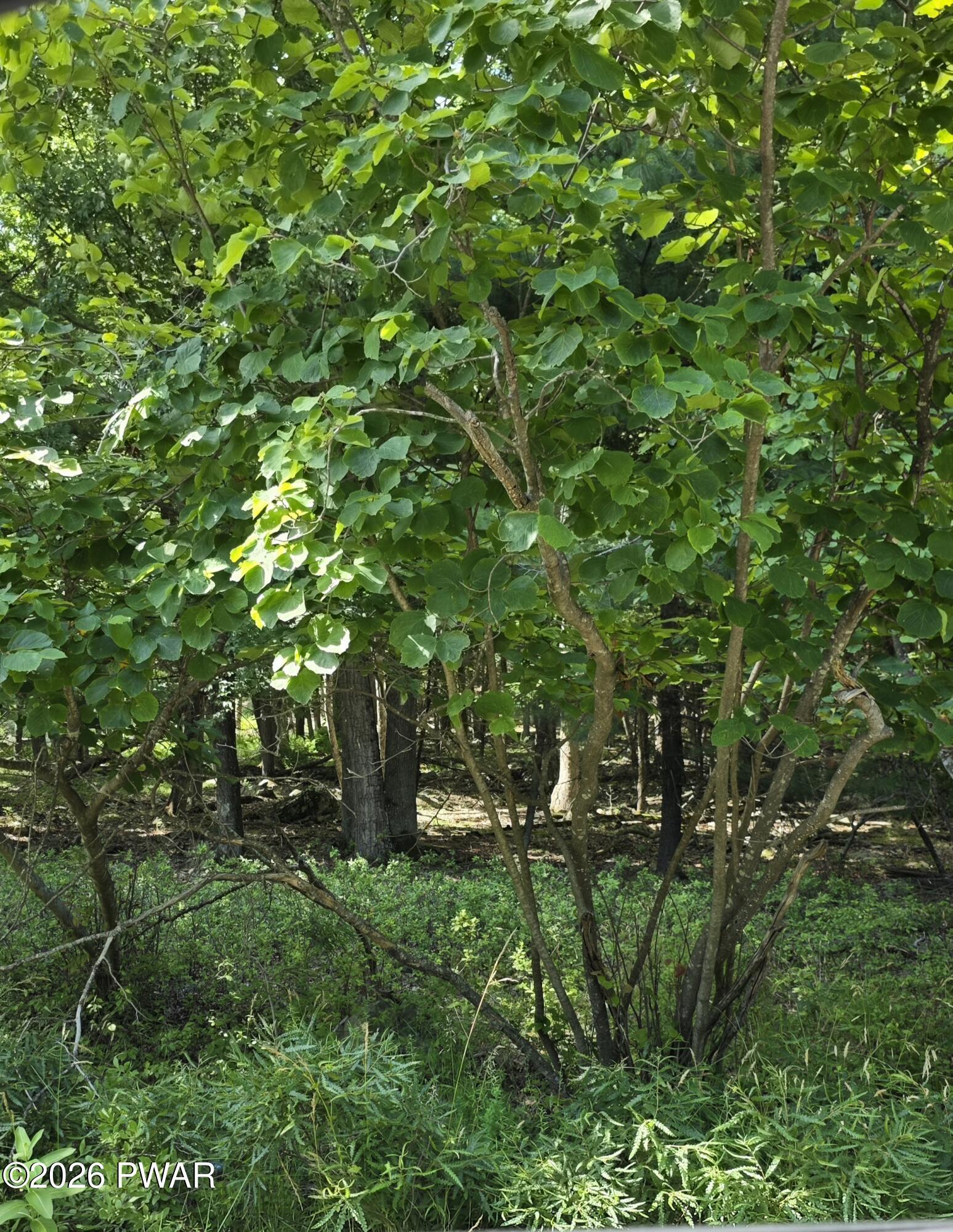 Image 2 Image 2