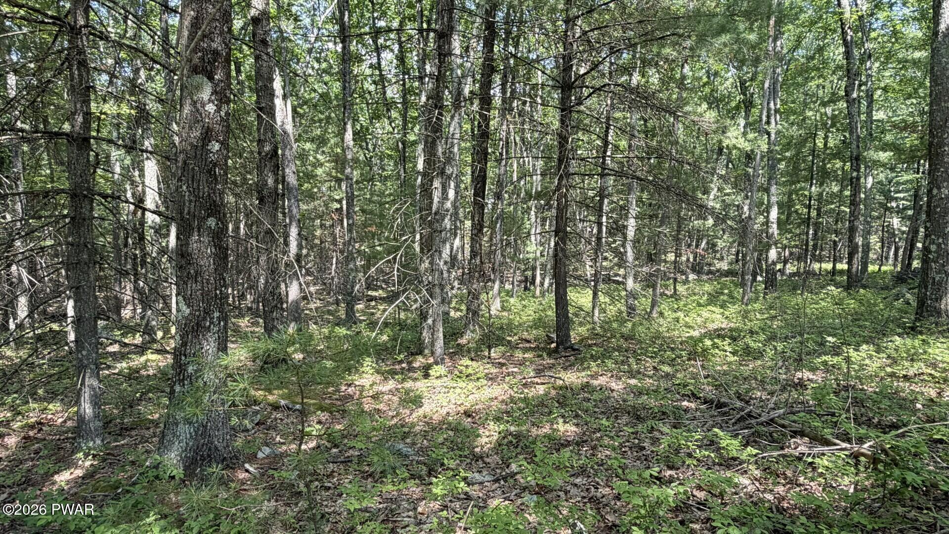 Image 3 Image 3