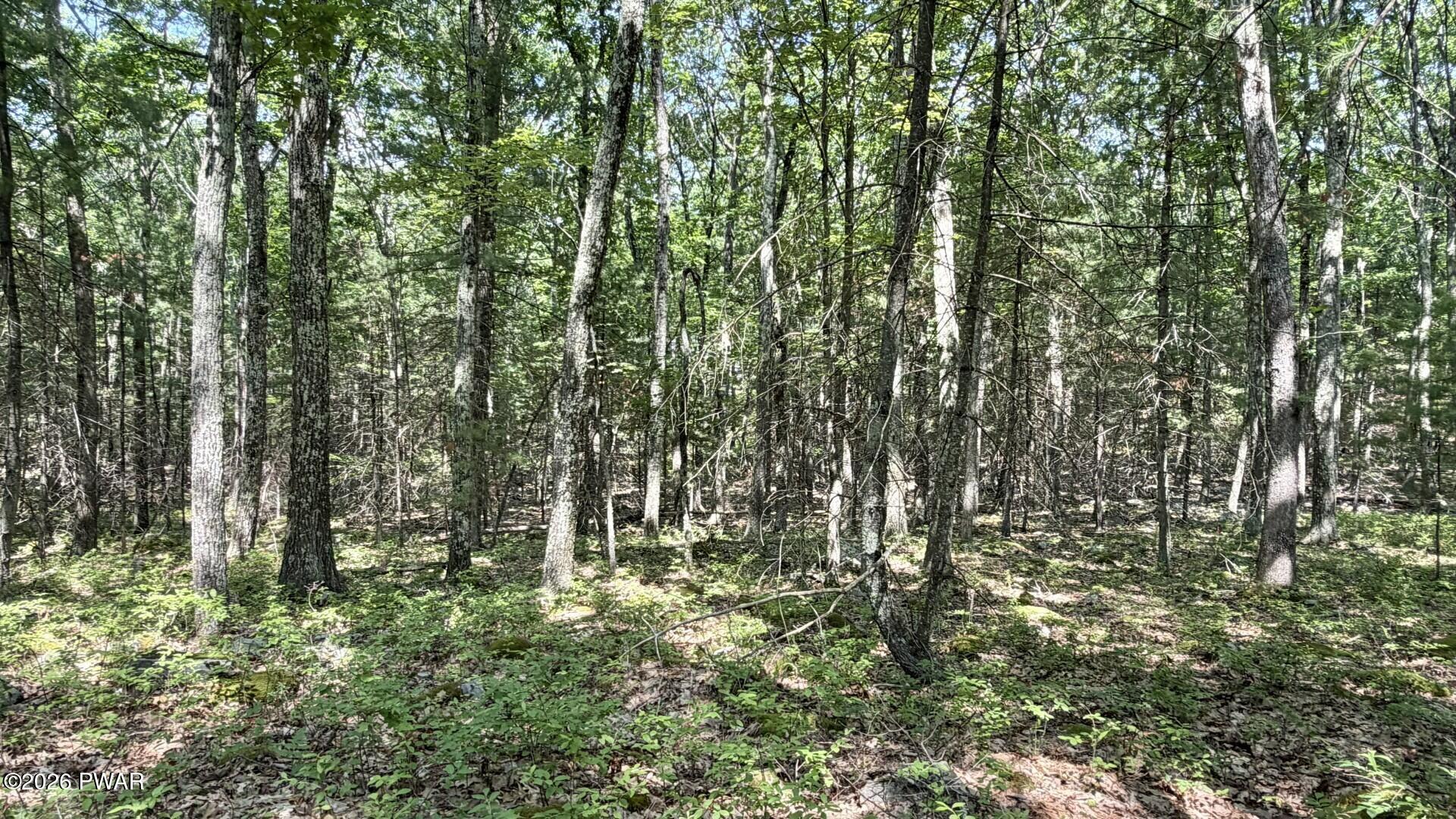 Image 4 Image 4