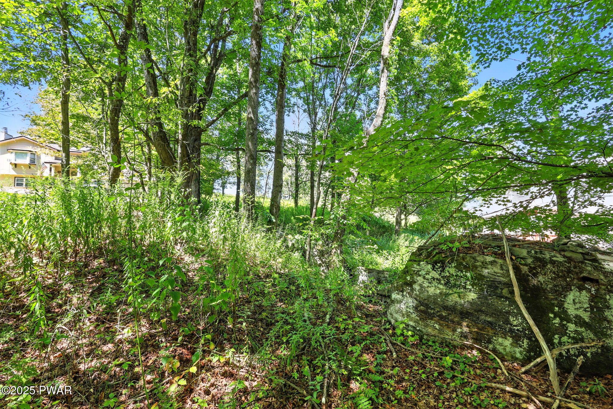 Image 3 Image 3