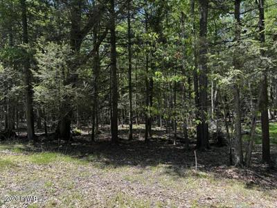 Lot 826 Fawn Rd and Lot 824 Pine Creek Road