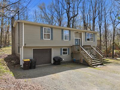 165 Paper Birch S