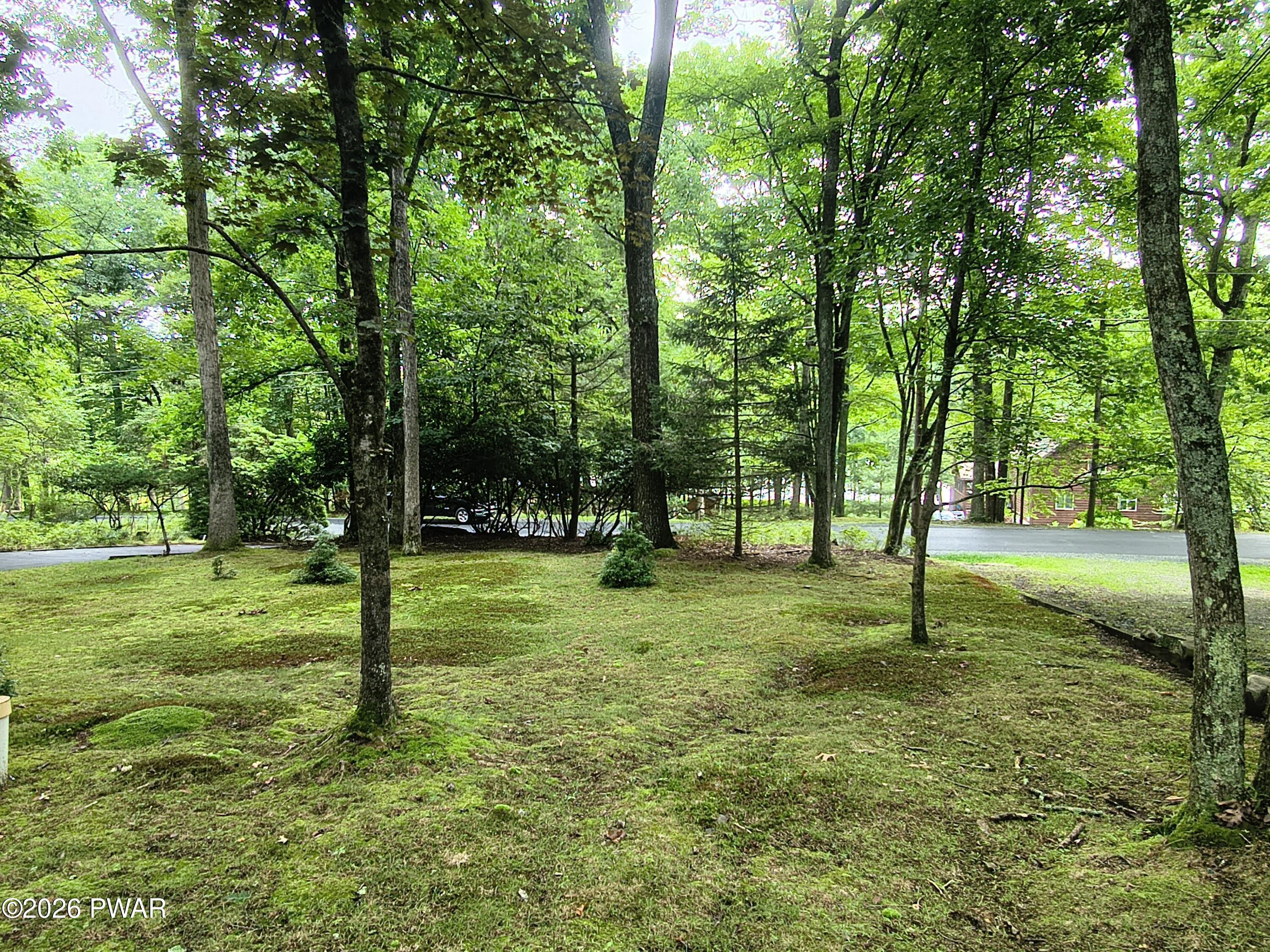Image 4 Image 4