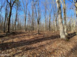 Lot 104 Mountaintop Rd