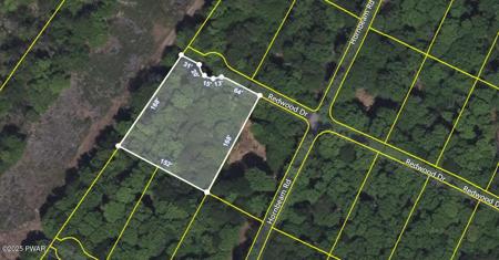 76 Redwood Drive