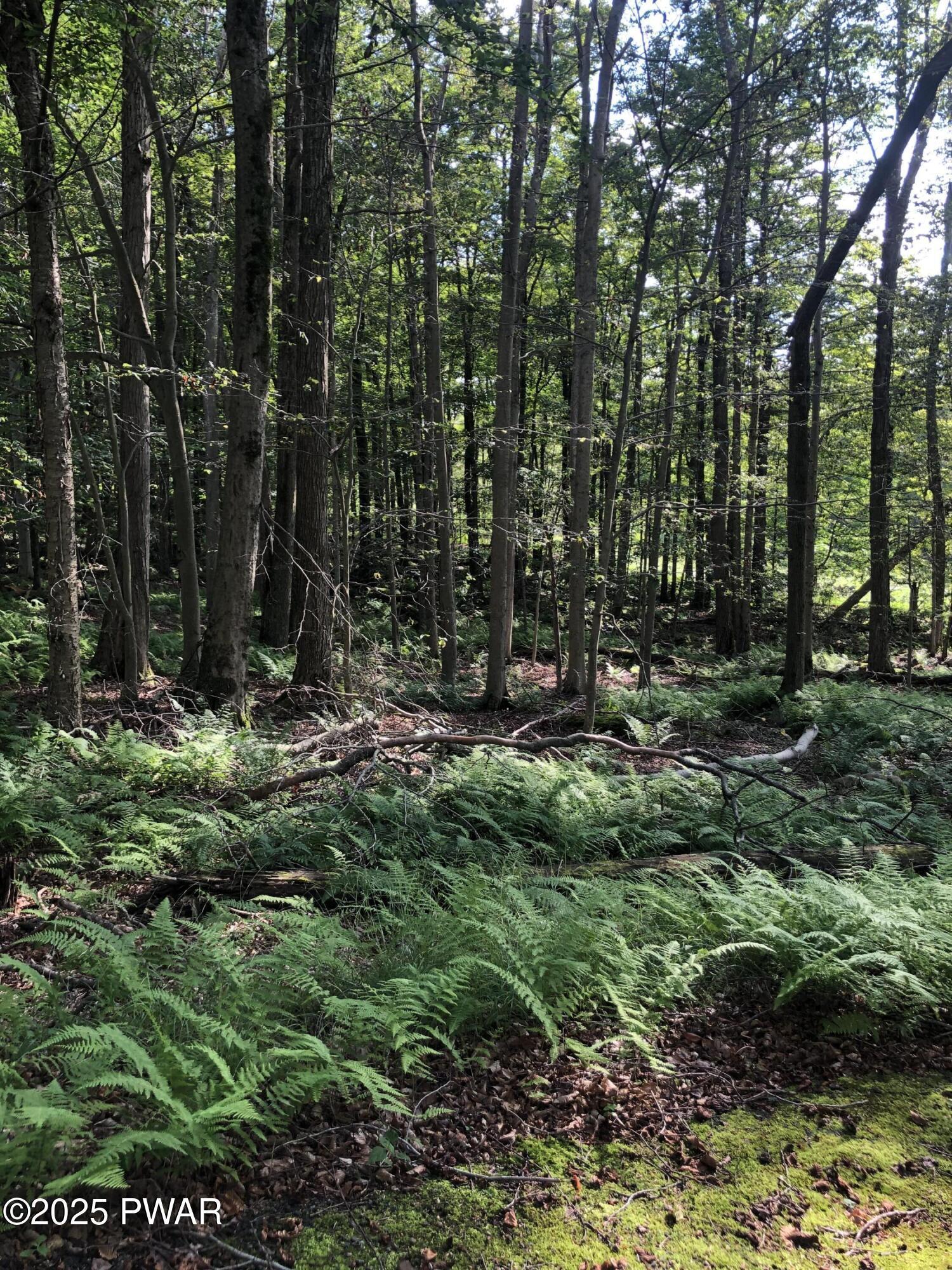Image 4 Image 4