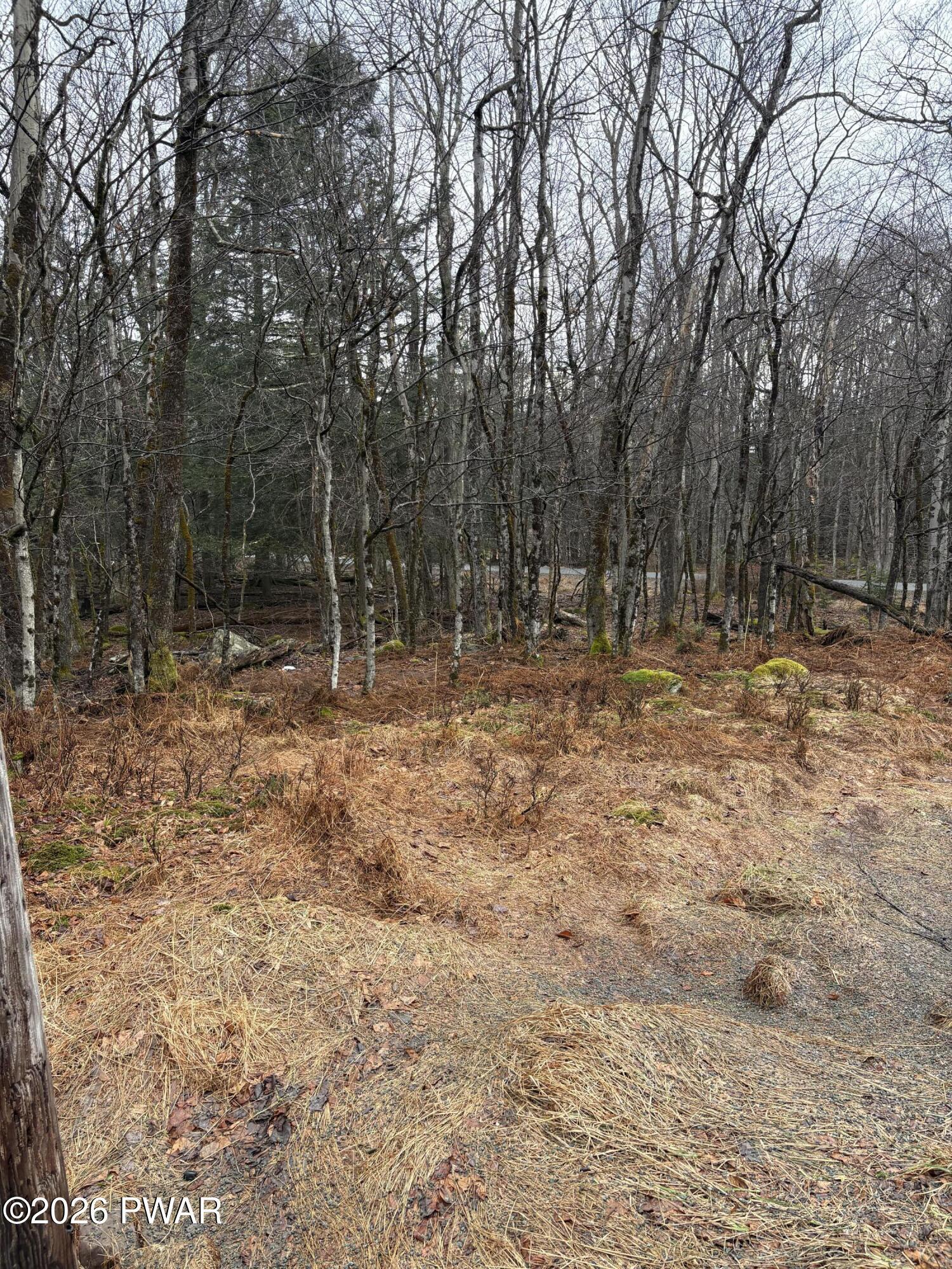 Image 4 Image 4