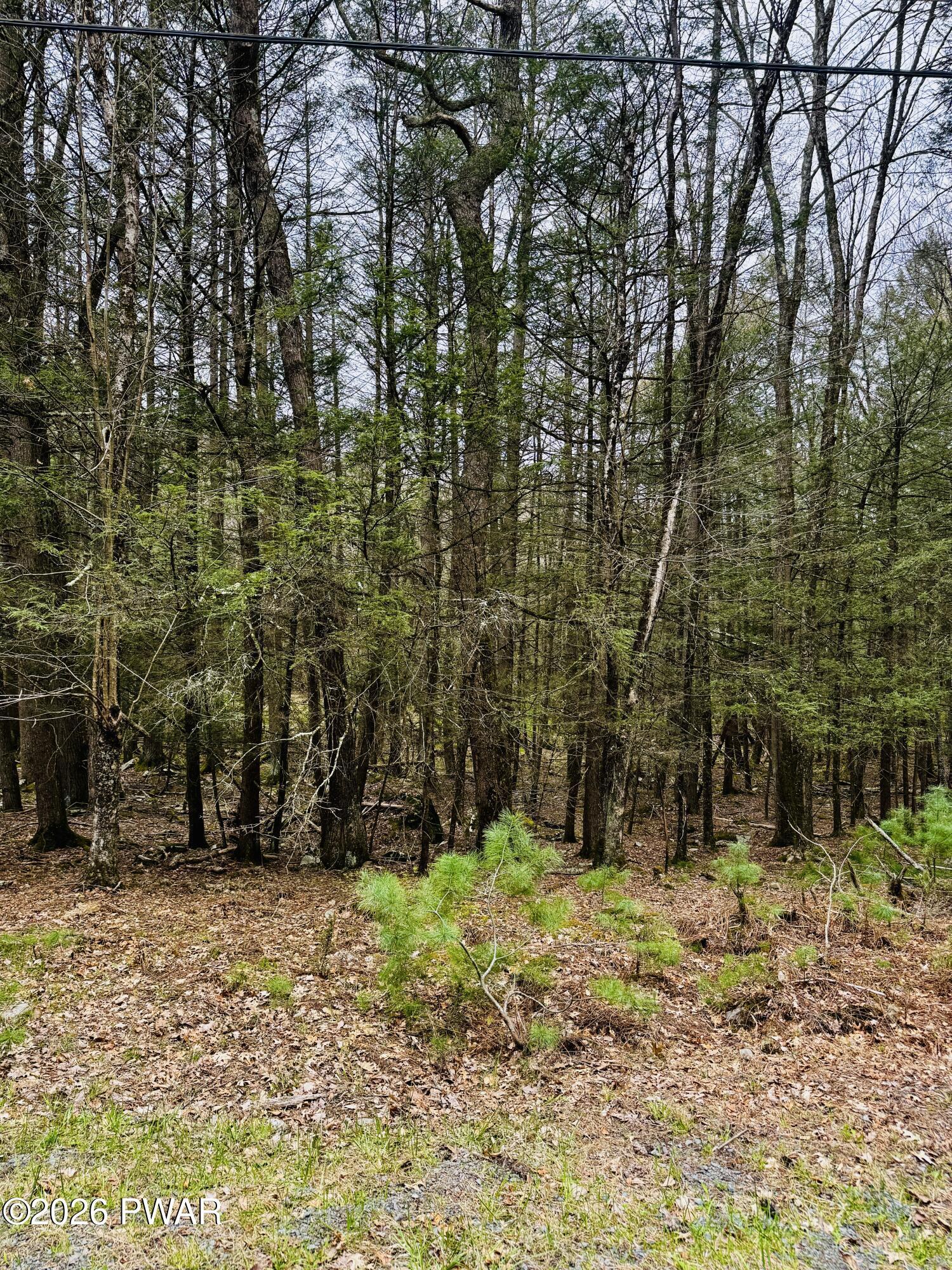 Image 3 Image 3