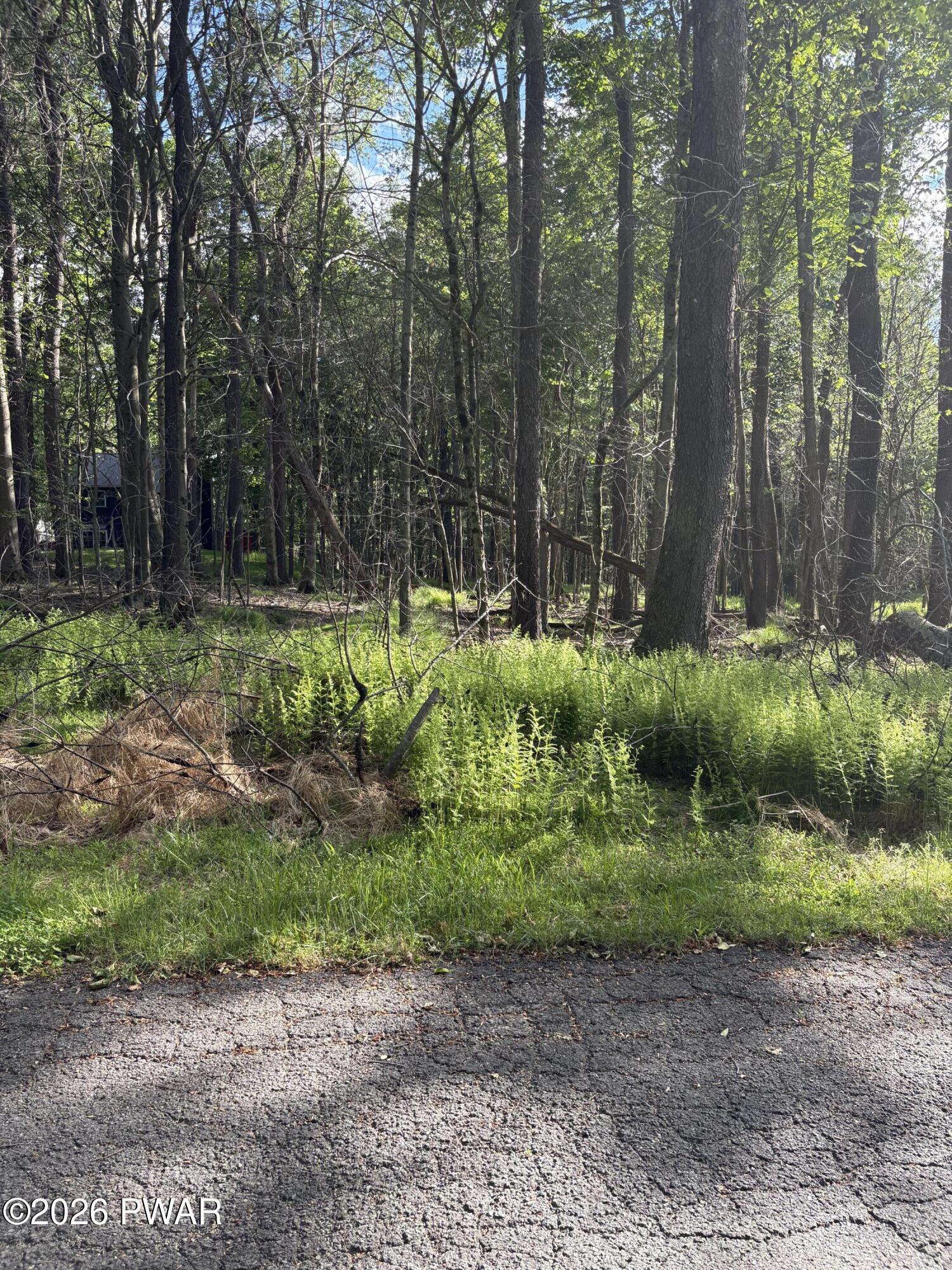Image 3 Image 3