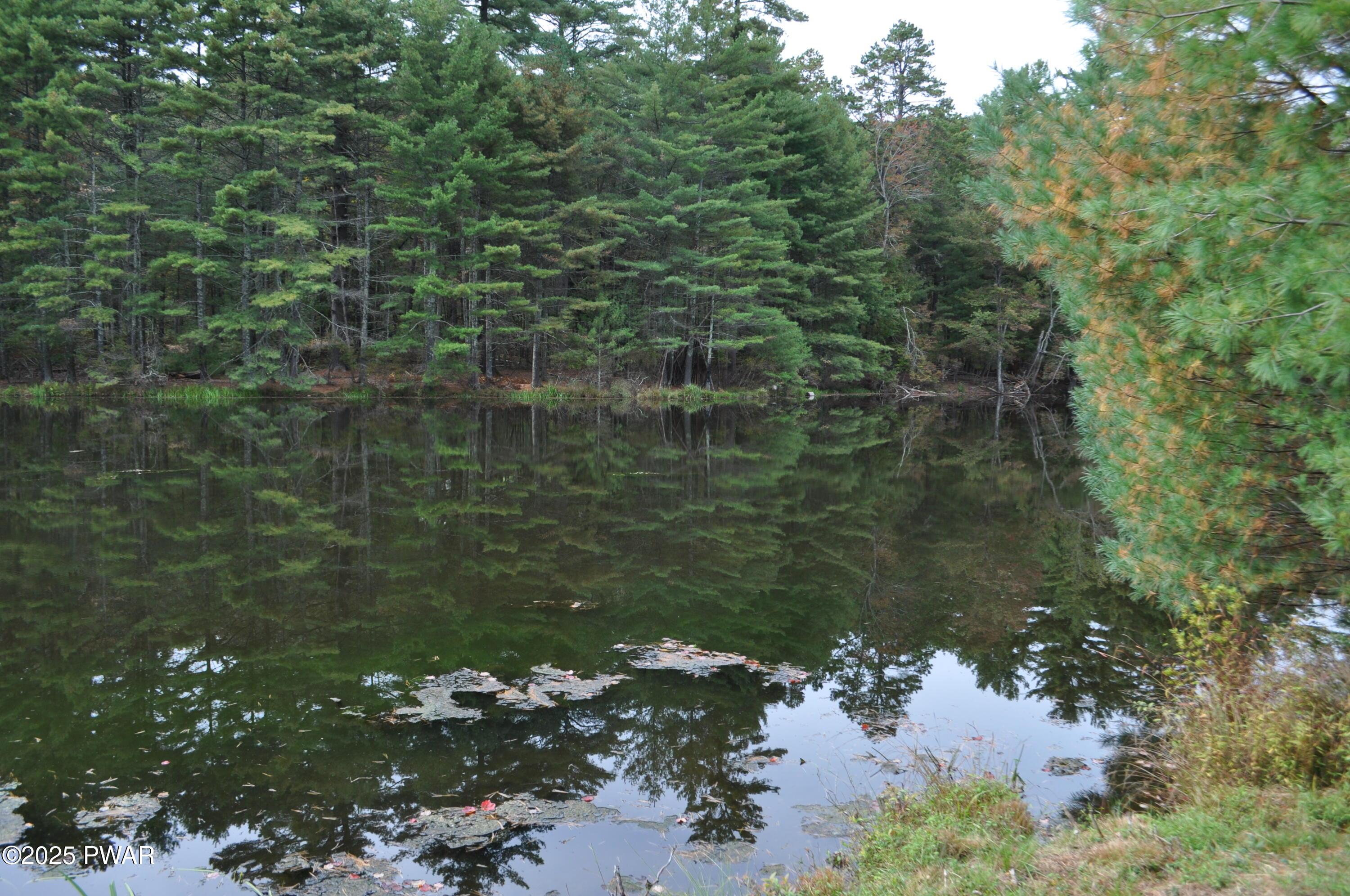 Image 2 Image 2
