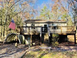 165 Tulip St
