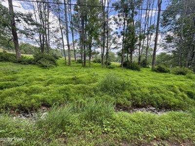 Lot #722 Bear Tree Road