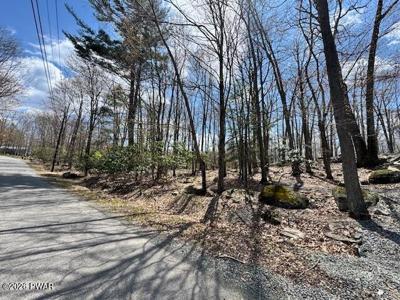 Butternut Lane