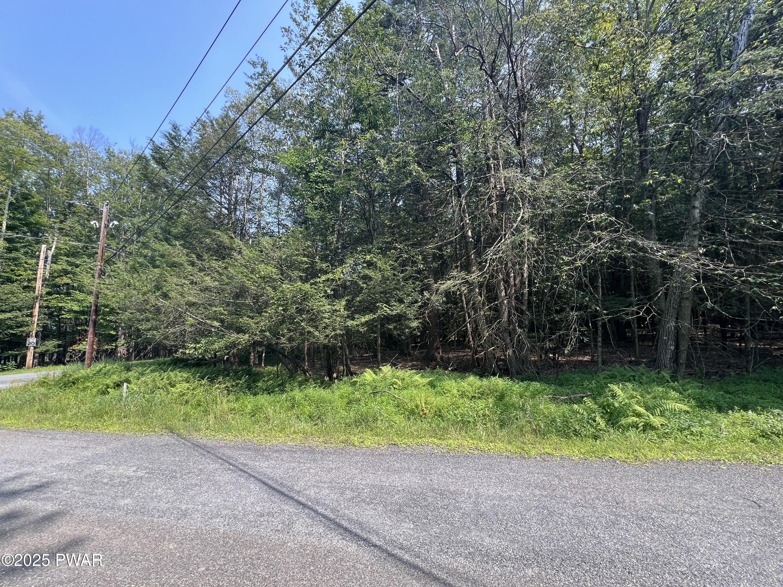 Image 1 Image 1