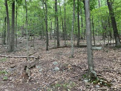 LOT 846 Alta Lane