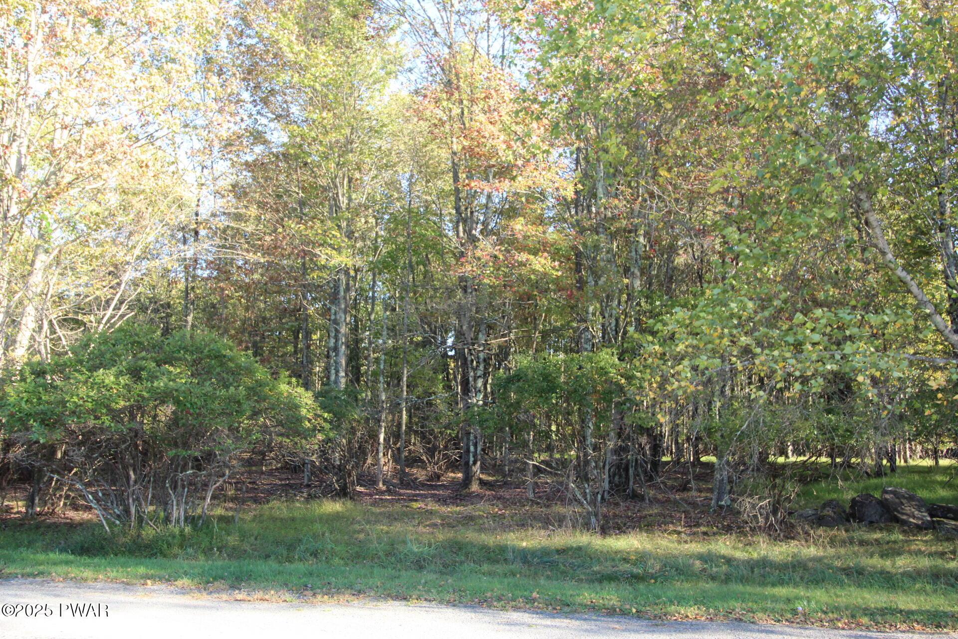 Image 3 Image 3