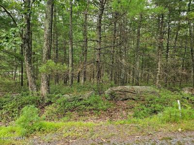 Lot 42 Ripplewood Drive