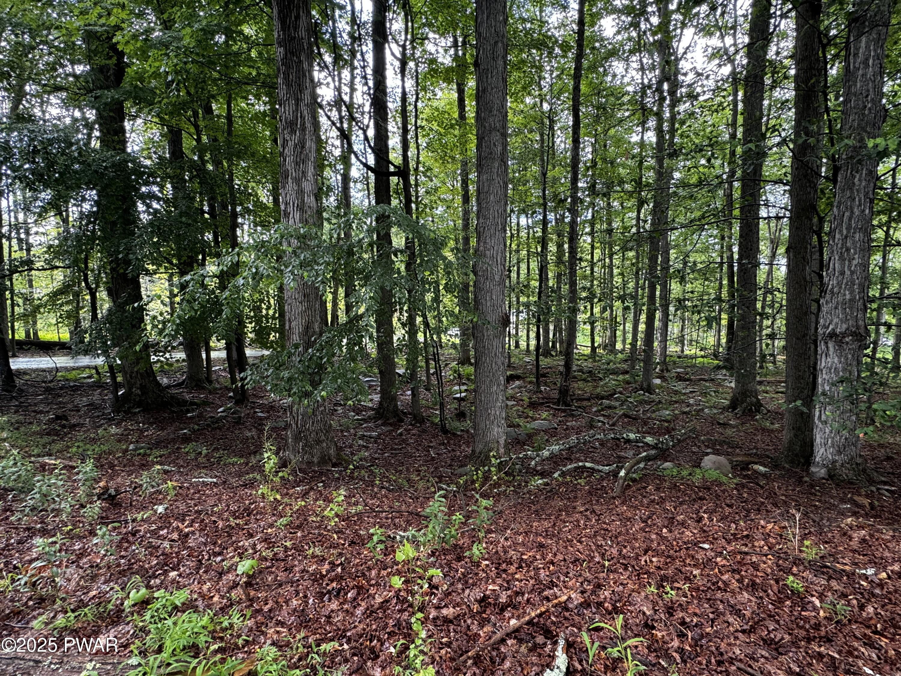 Image 3 Image 3
