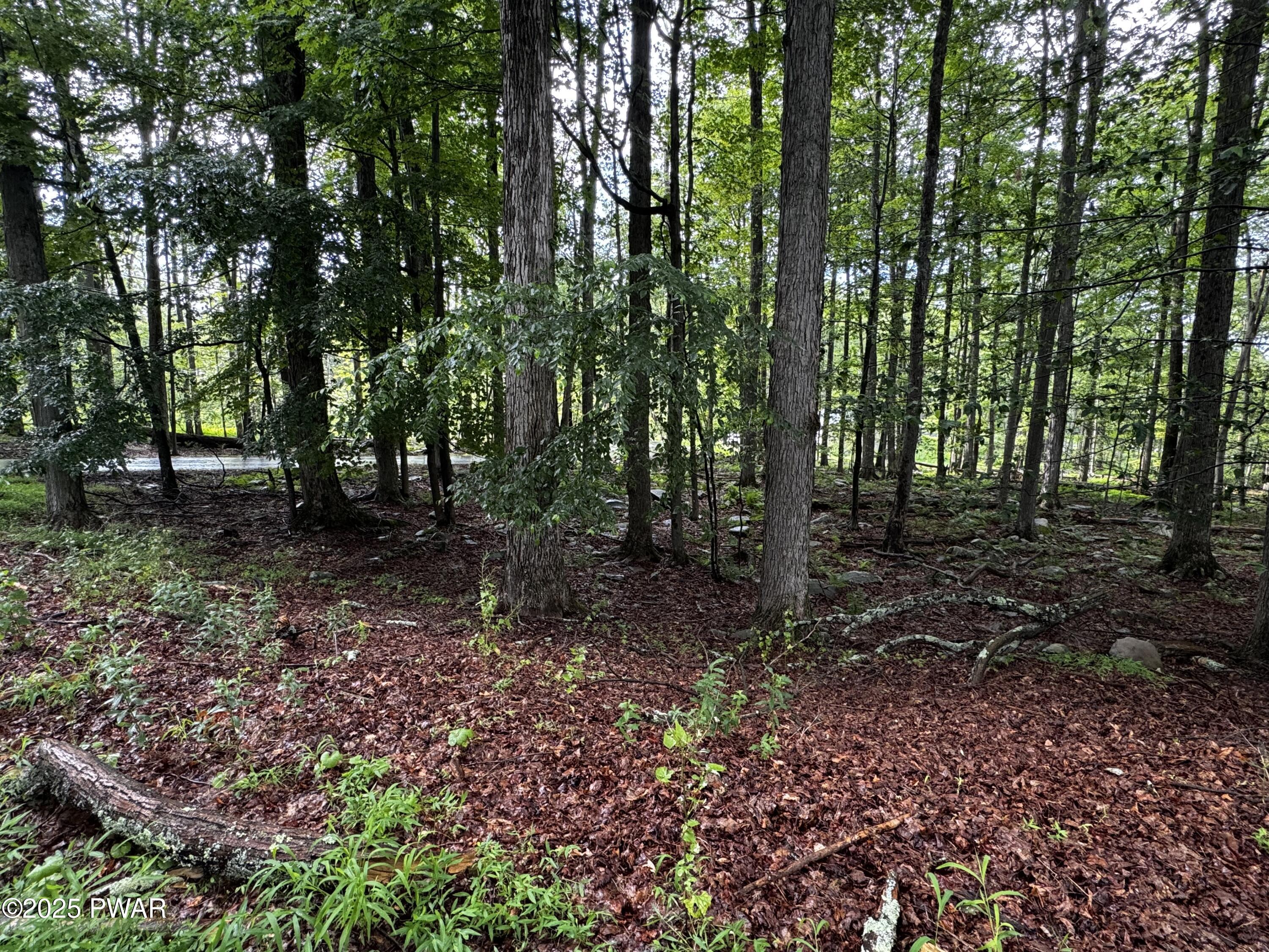 Image 4 Image 4