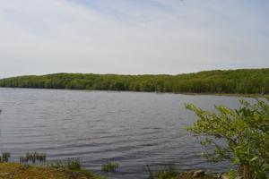 1W21 E Shore Dr
