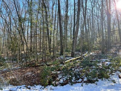 Lot 762 Mountain Snow Circle