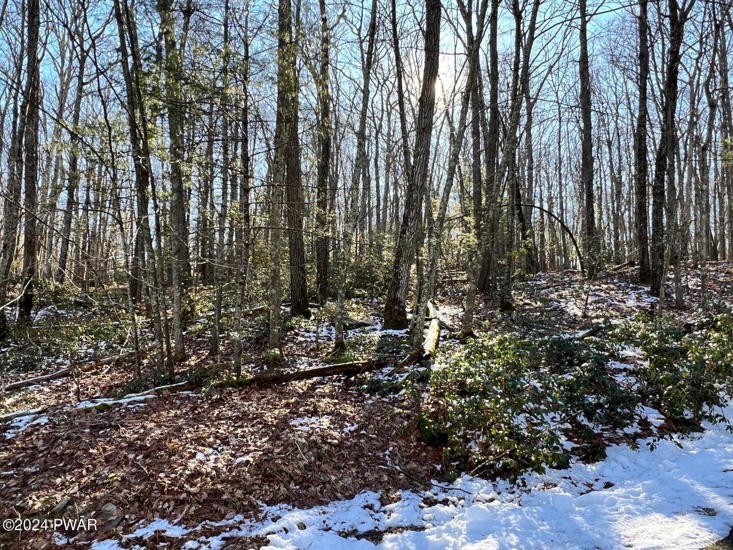 Image 4 Image 4