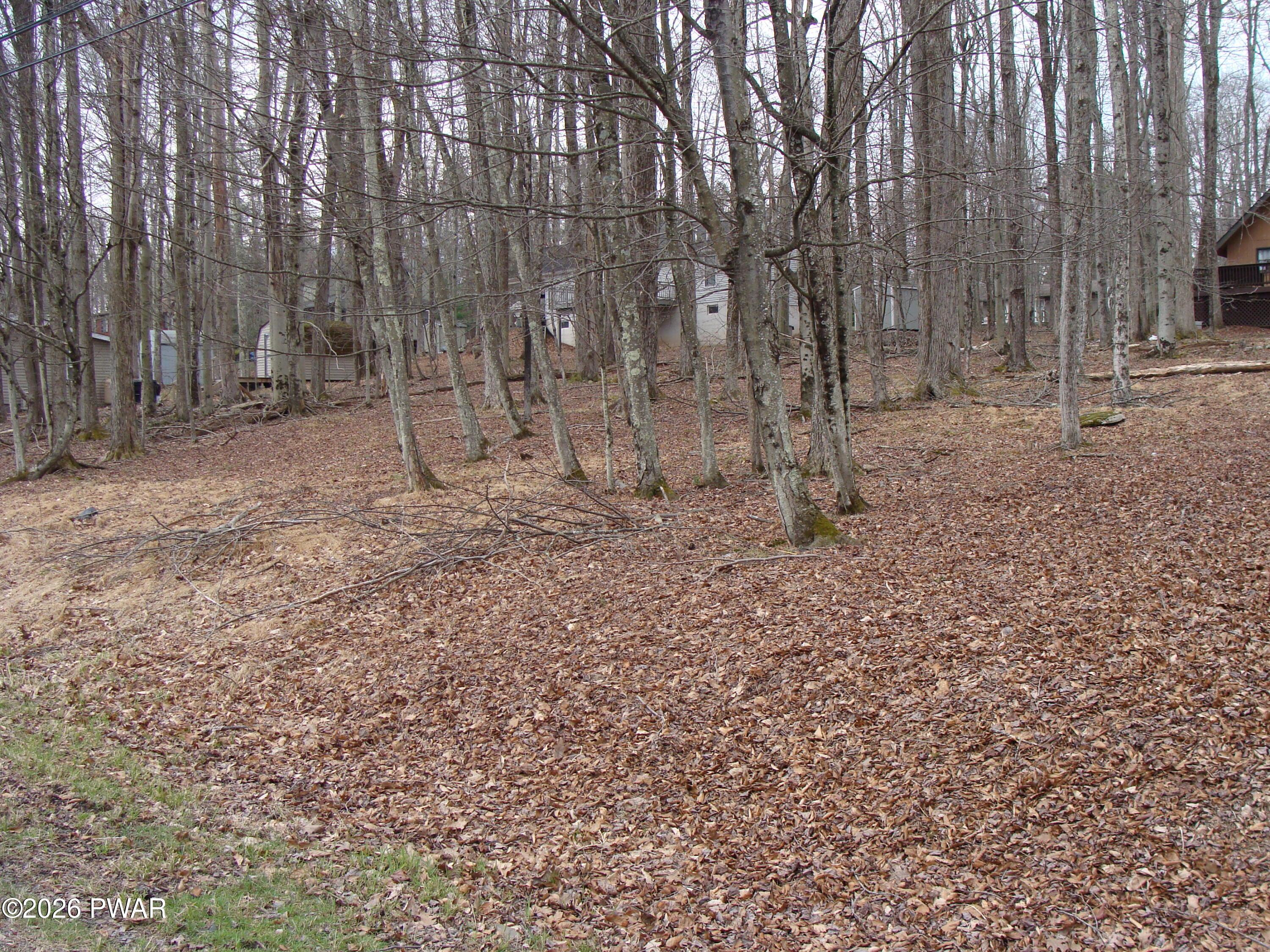 Image 2 Image 2