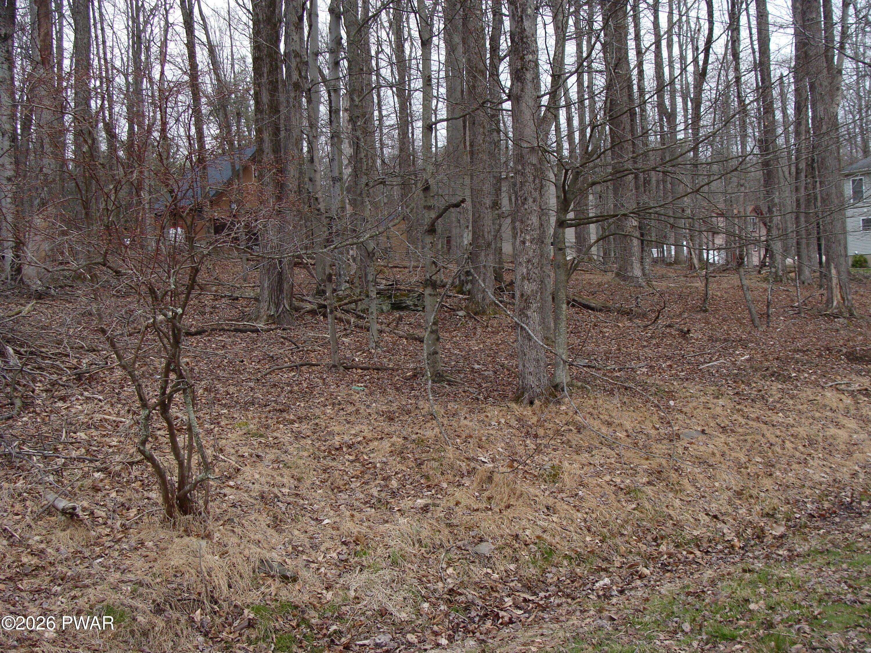 Image 4 Image 4
