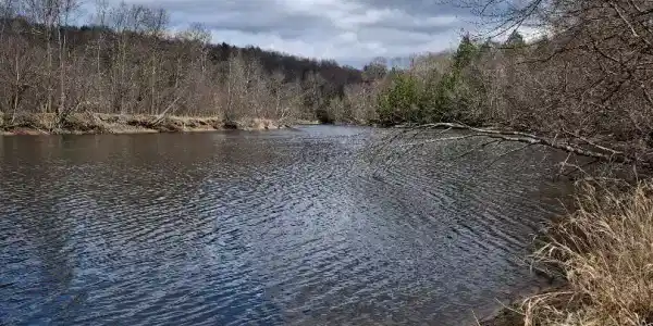 Rainbow Trout Terrace