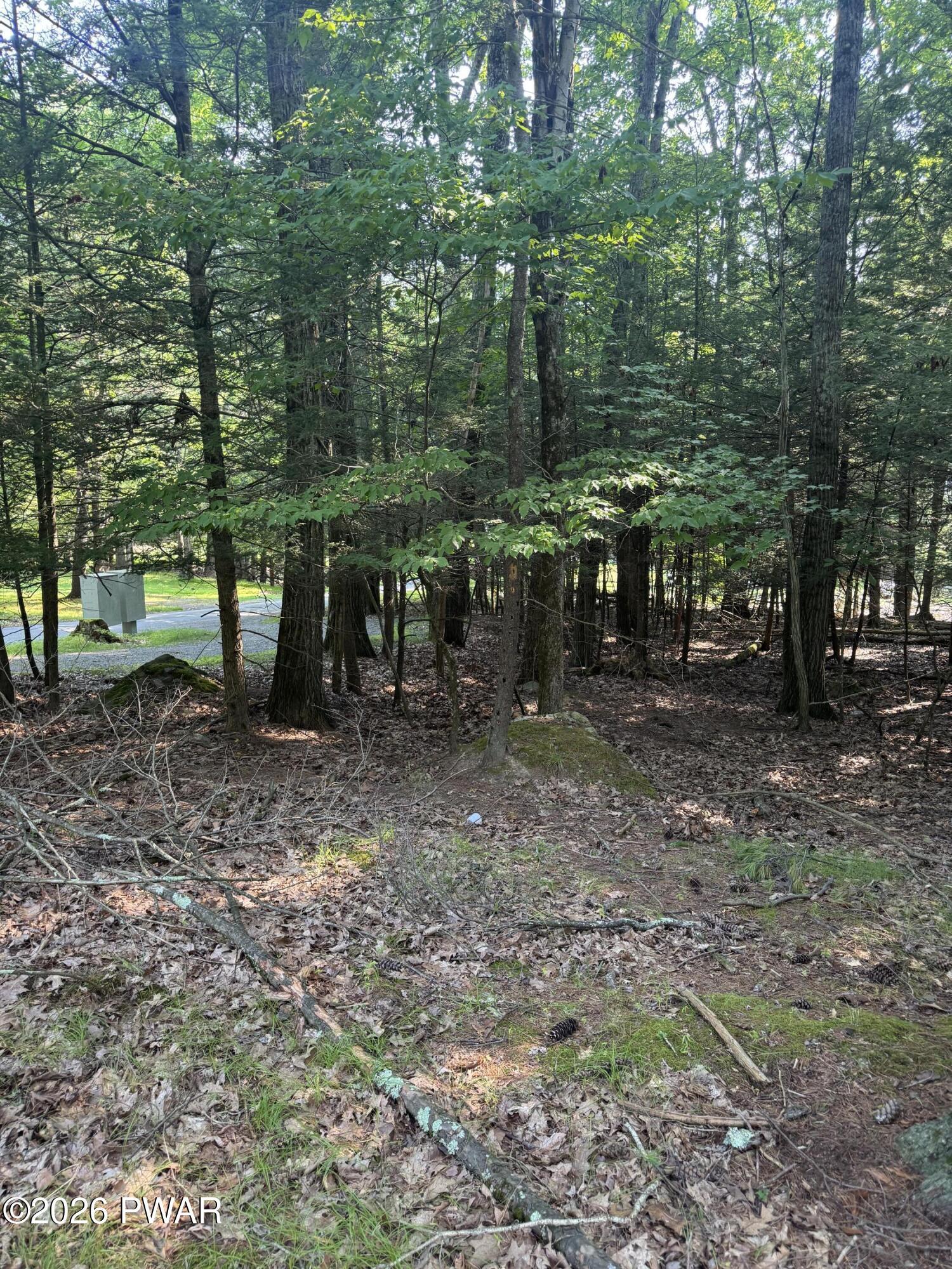 Image 3 Image 3