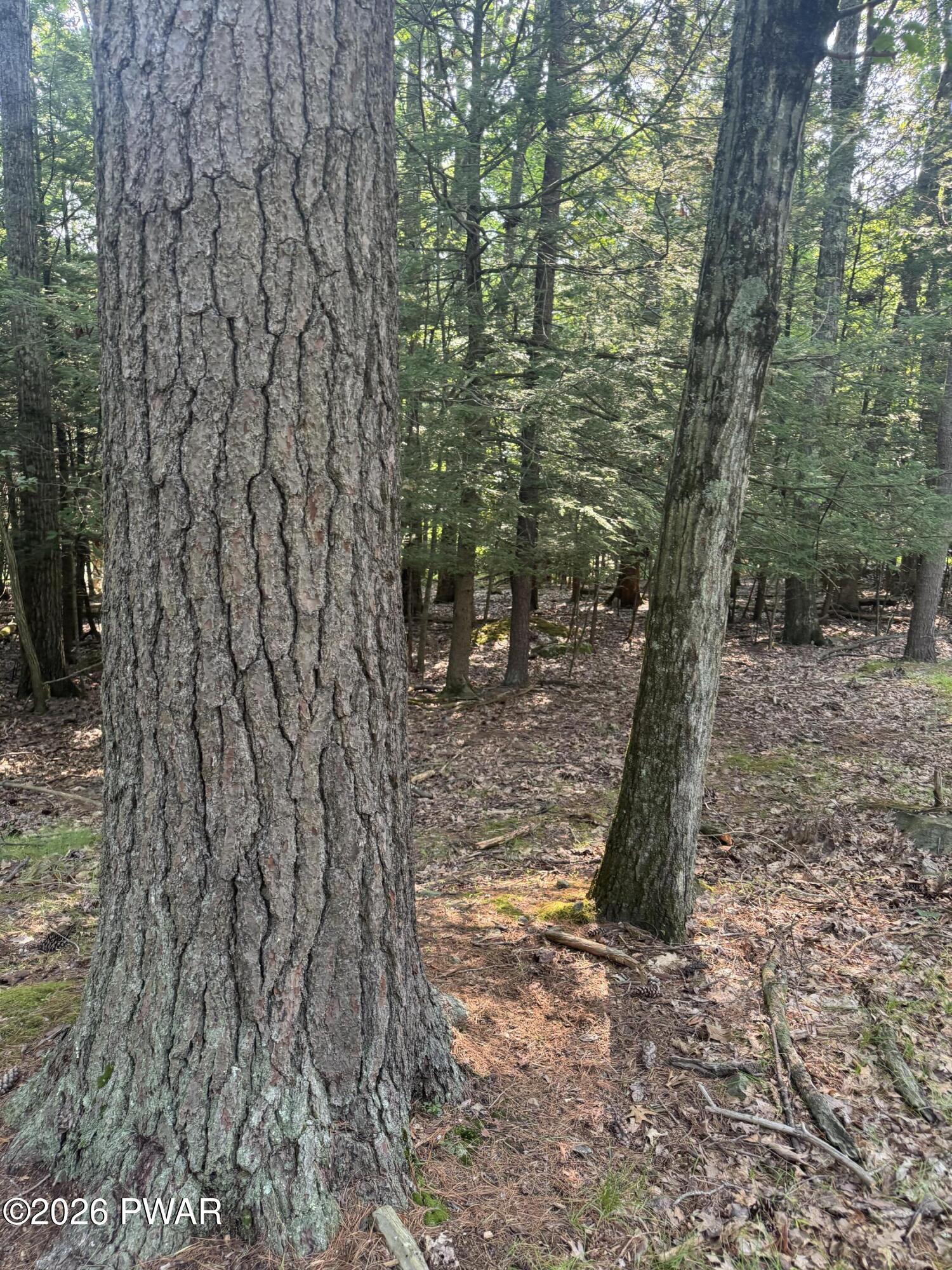 Image 4 Image 4