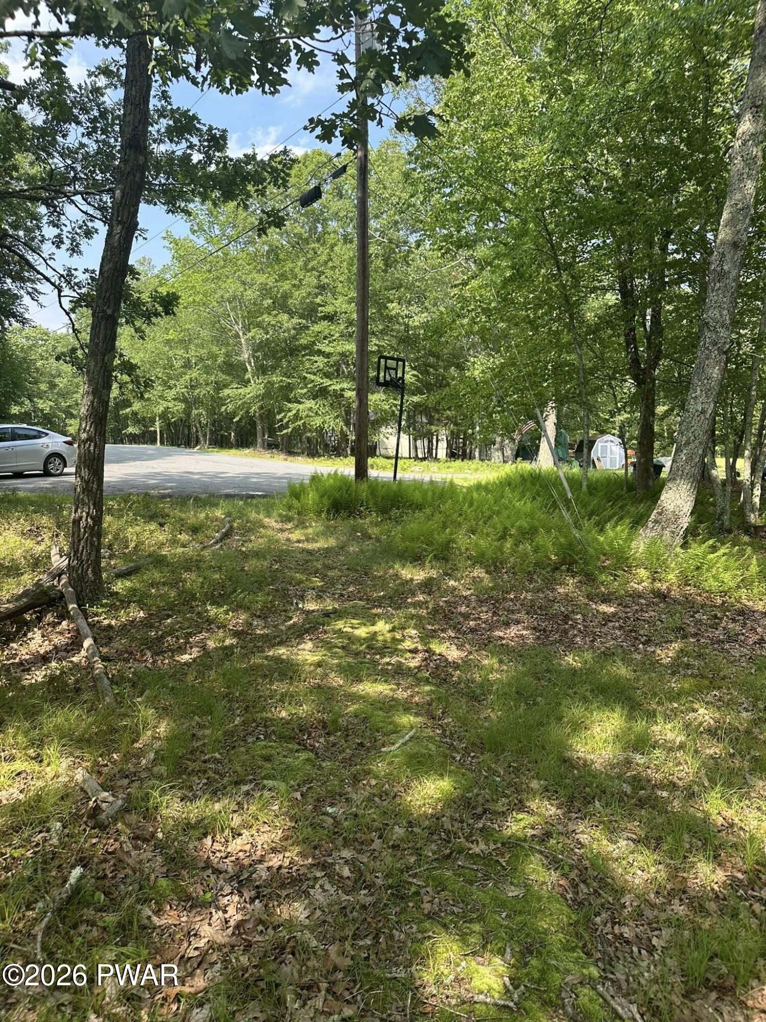 Image 4 Image 4