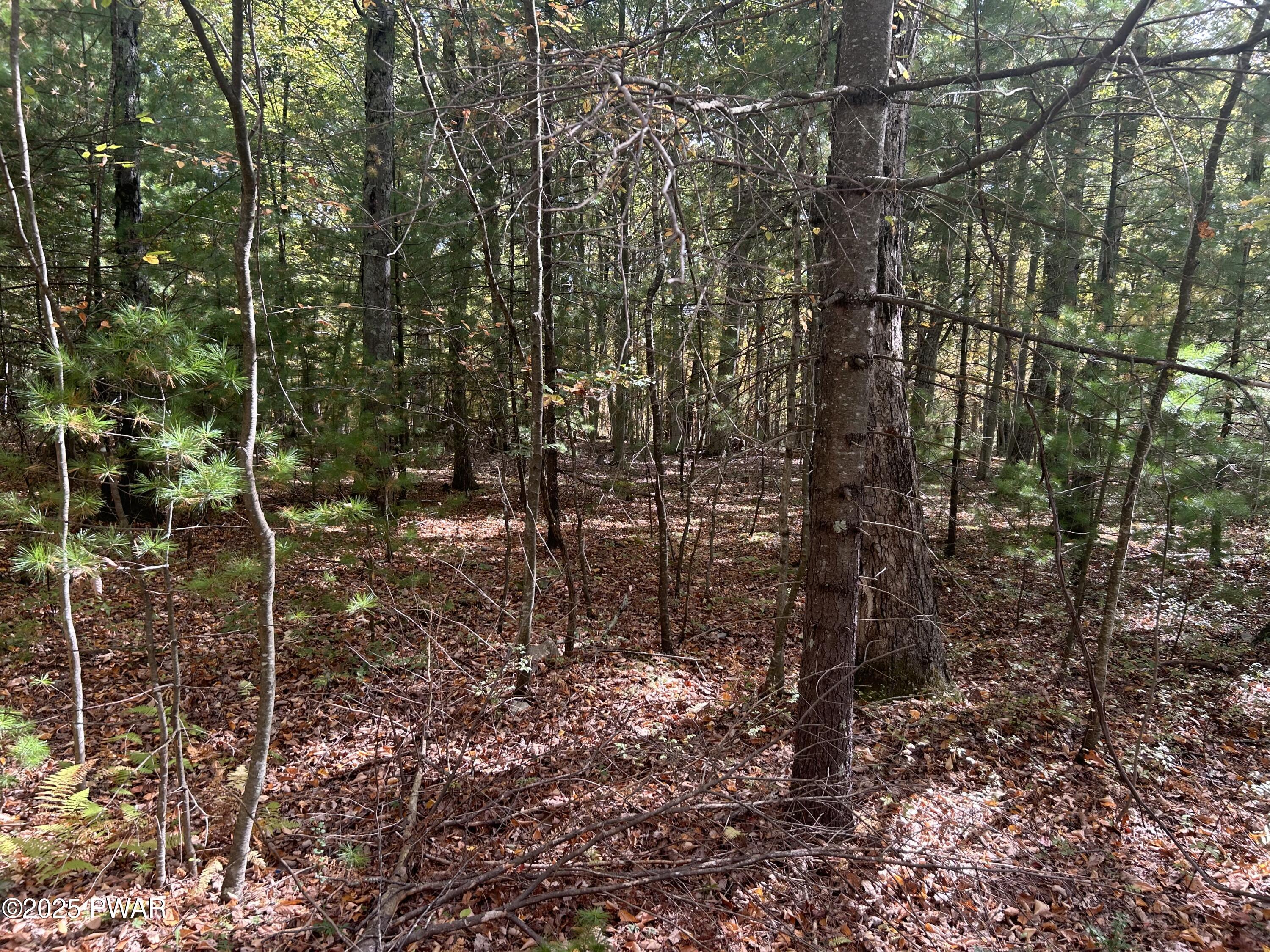 Image 3 Image 3
