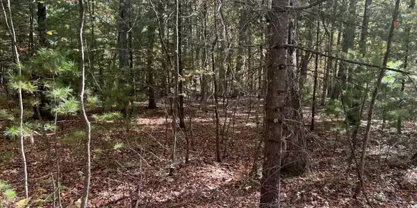Image 3 Image 3