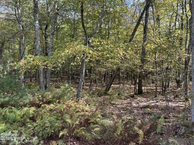 Lot 410 Fox Road