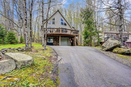 53 Cedarwood