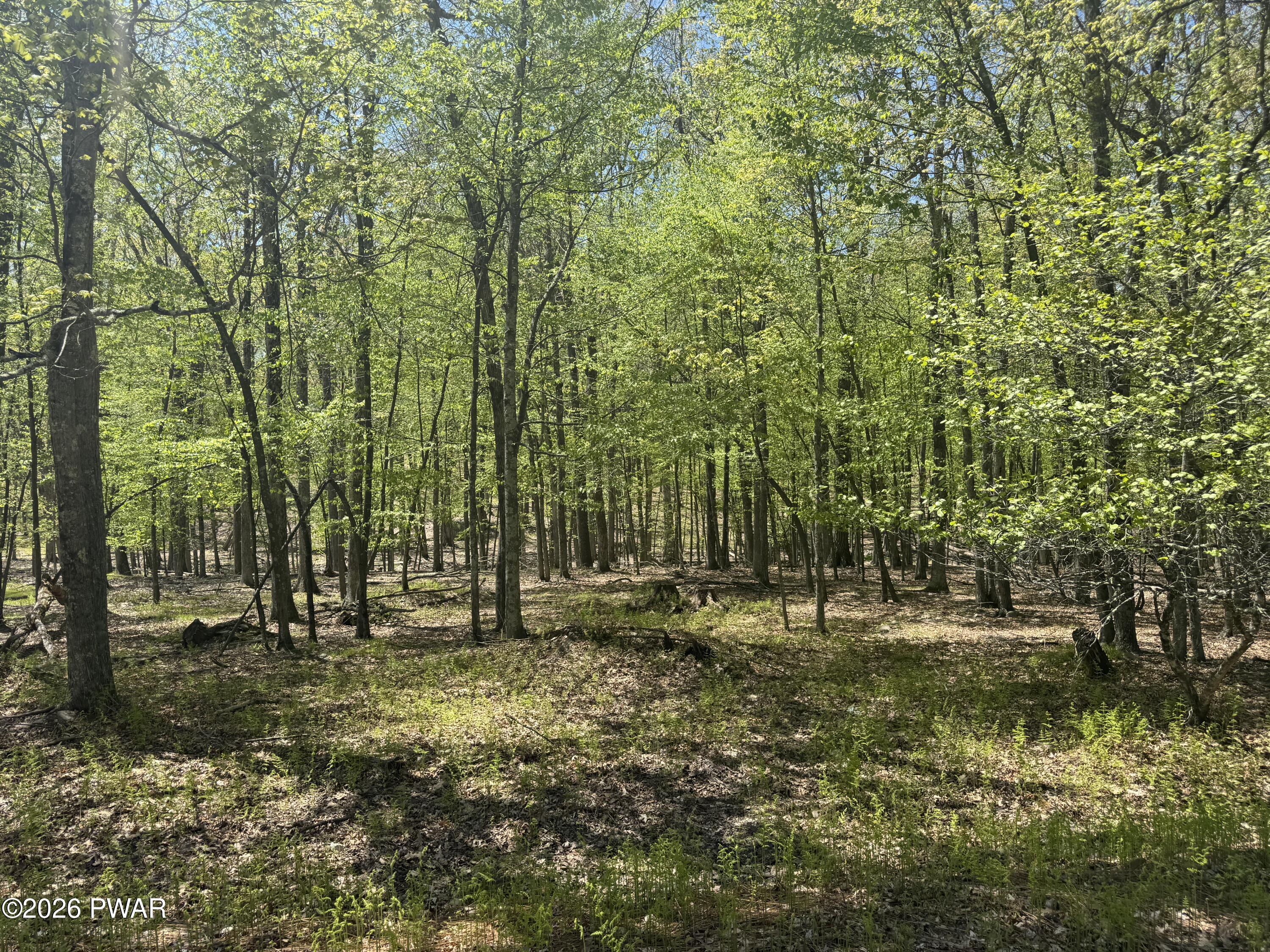 Image 4 Image 4