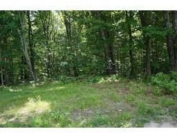 Lot 2 Willard Lane