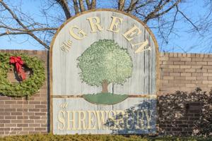 40 Shrewsbury Green Dr
