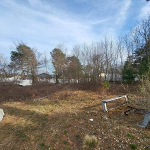 81 Maple Springs Road
