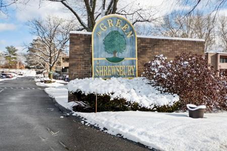 18 Shrewsbury Green Dr