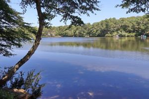 120 Fells Pond Road