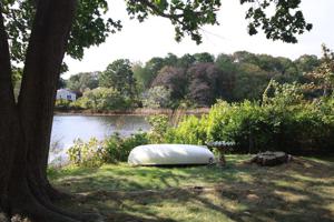 11 Pond Street