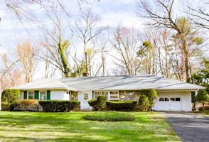 541 Roosevelt Ave