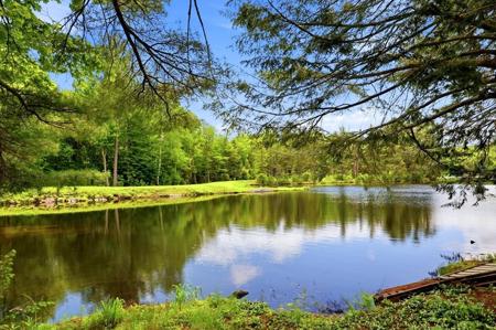 54 Papoose Lake Dr