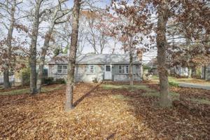 242 Mayfair Road