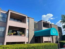 46 Shrewsbury Green Dr