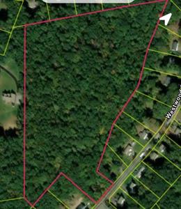 41 Westwood Dr
